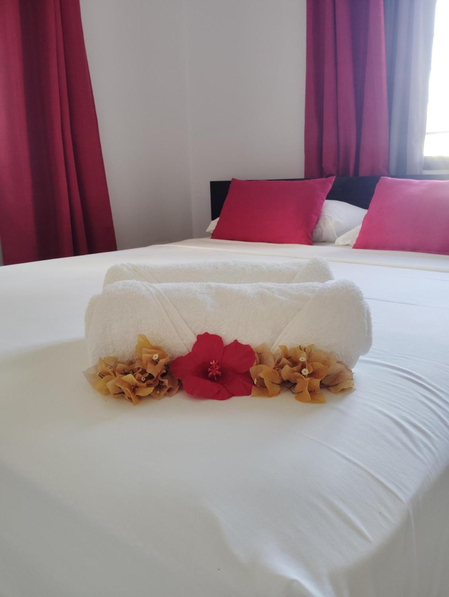 Apartman Roche Kerlan *